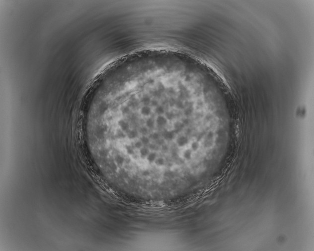 X0000097870968200804110920