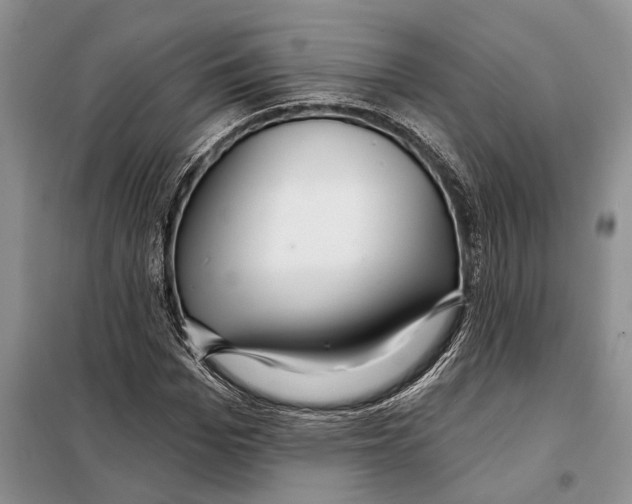 X0000097870969200804110920