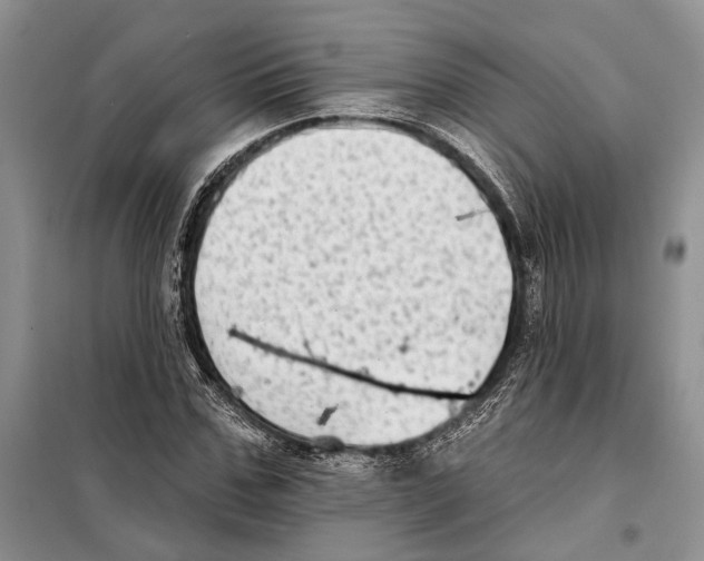 X0000097870971200804110920