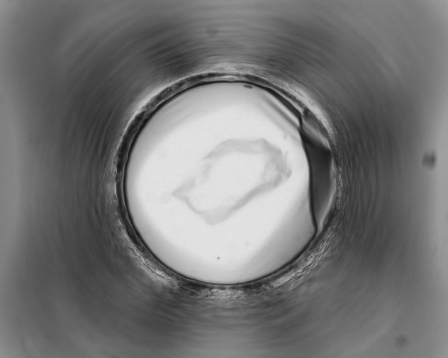 X0000097870972200804110920