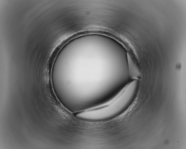 X0000097870973200804110920