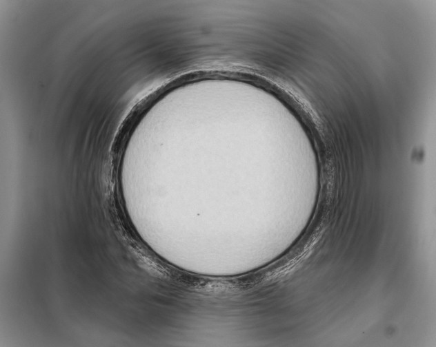 X0000097870974200804110920