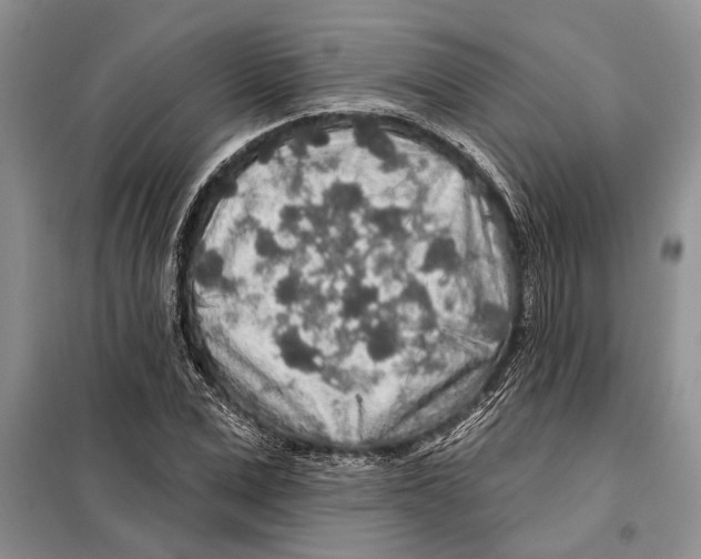 X0000097870975200804110920