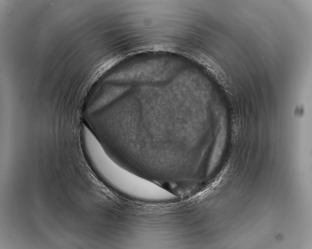 X0000097870977200804110920