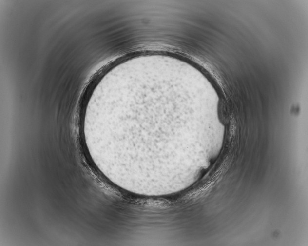 X0000097870979200804110920