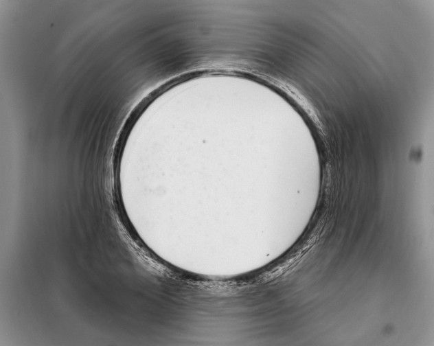 X0000097870980200804110920