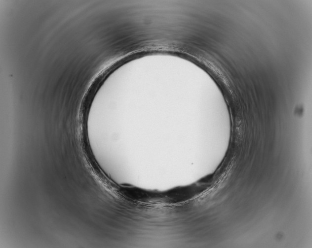 X0000097870981200804110919