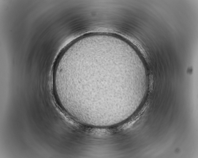 X0000097870982200804110919