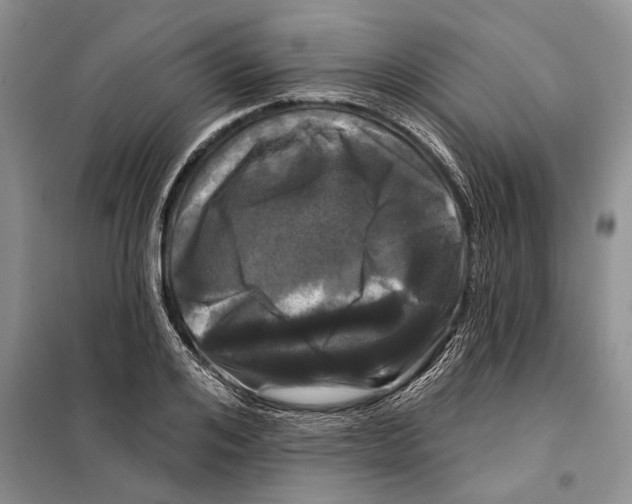 X0000097870984200804110919