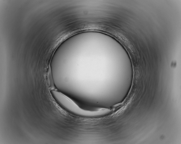 X0000097870985200804110919