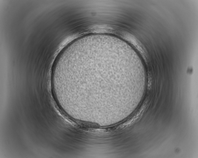 X0000097870986200804110919