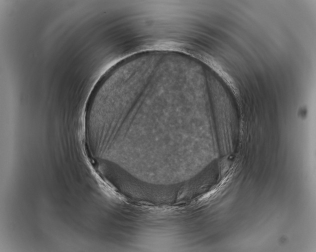 X0000097870988200804110919
