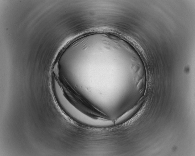 X0000097870989200804110919