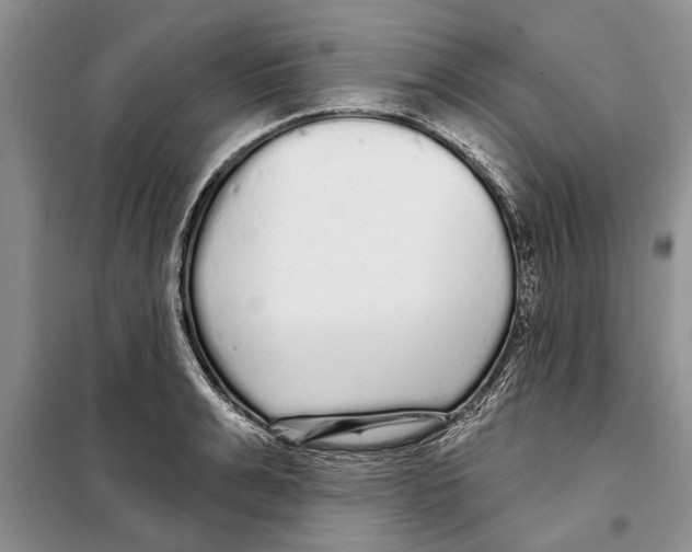 X0000097870991200804110919