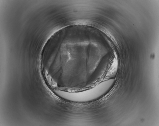 X0000097870992200804110919