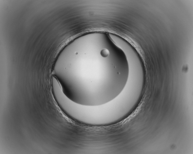 X0000097870993200804110919