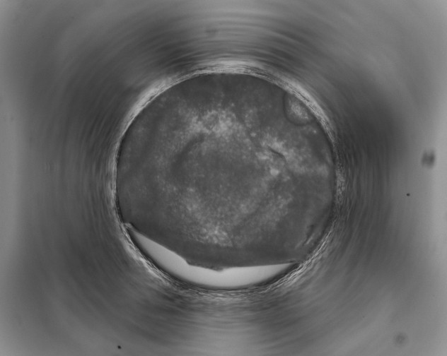 X0000097870994200804110919