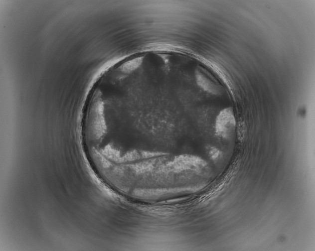 X0000097870995200804110919