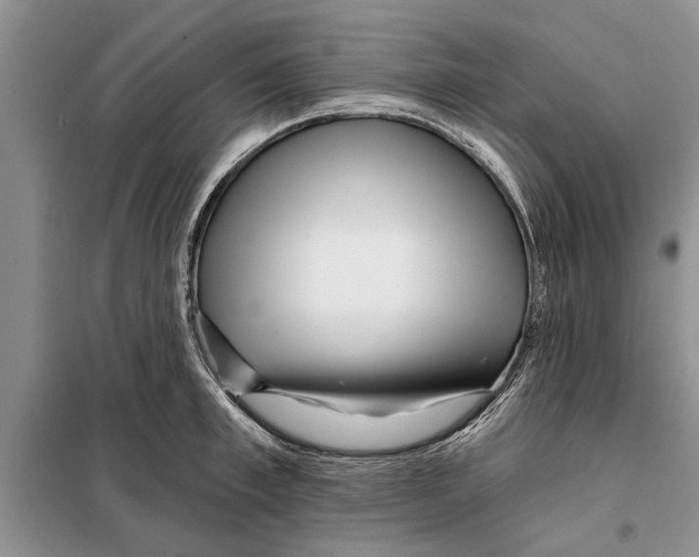 X0000097870997200804110919