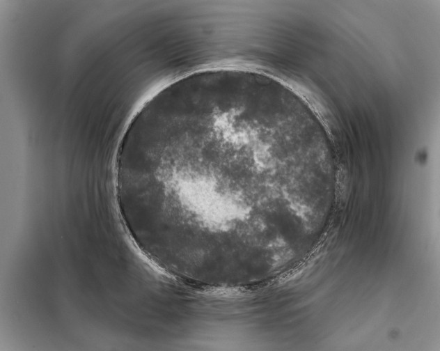 X0000097870998200804110919