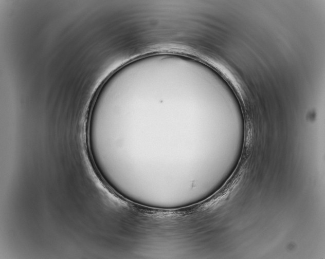 X0000097870999200804110919