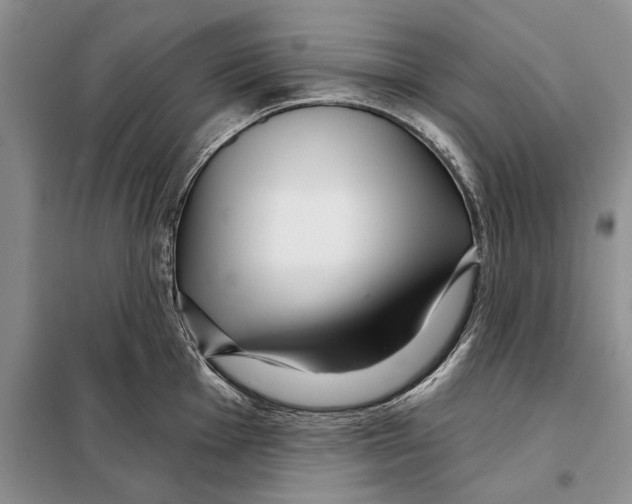 X0000097871001200804110919