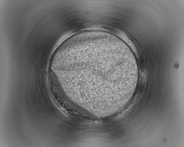 X0000097871002200804110919