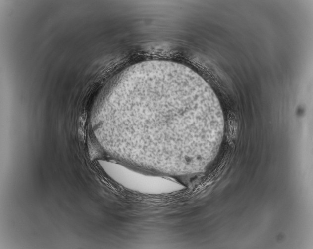 X0000097871010200804110918