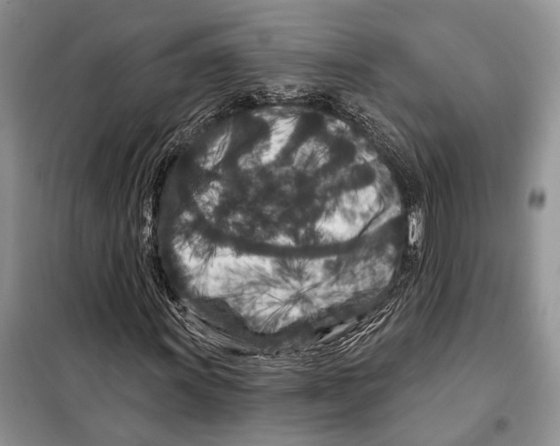 X0000097871011200804110918