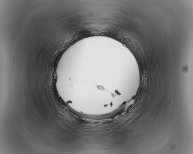 X0000097871012200804110918