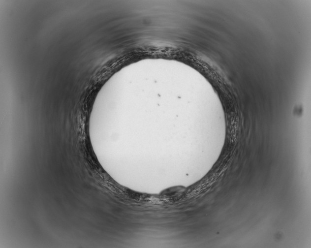 X0000097871013200804110918