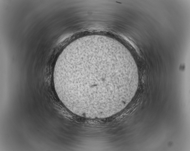 X0000097871015200804110918