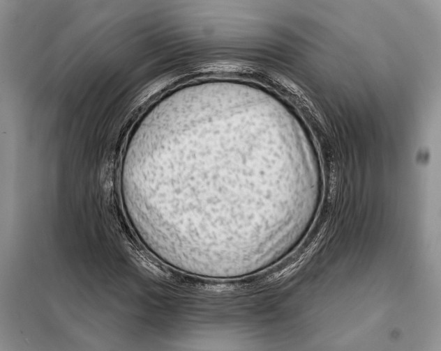 X0000097871017200804110918