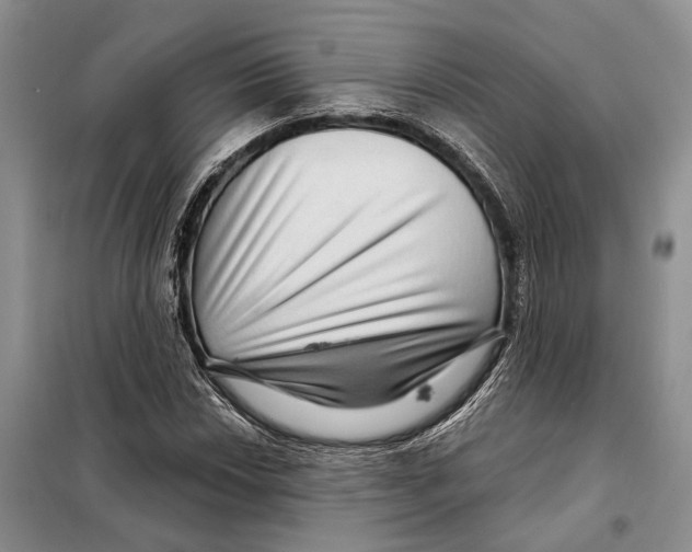 X0000097871018200804110918