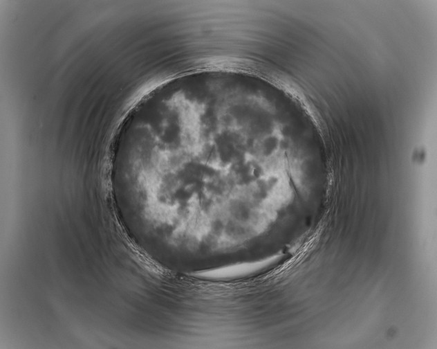X0000097871019200804110918