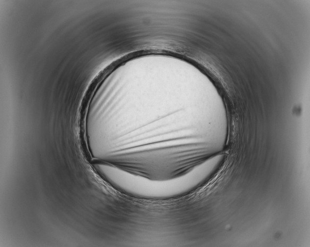X0000097871020200804110918