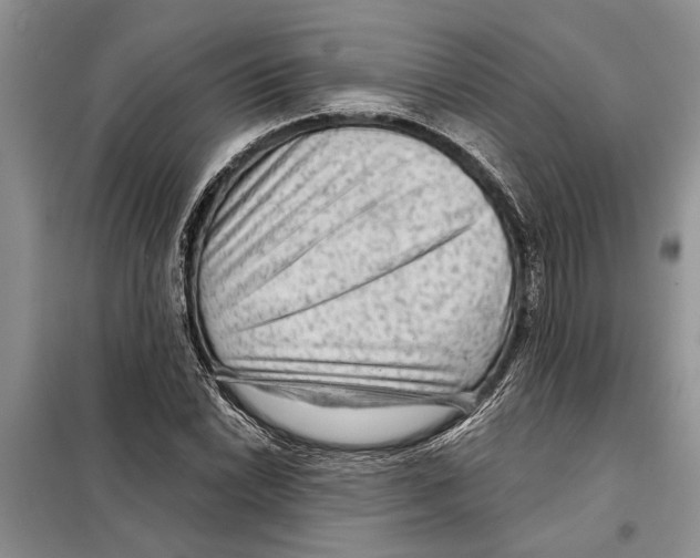 X0000097871022200804110918