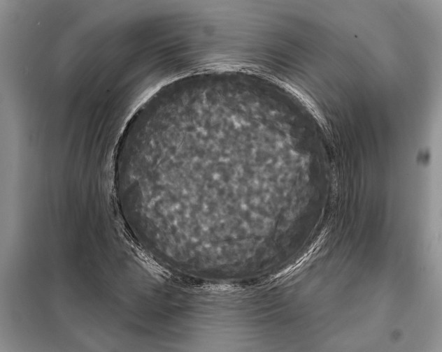 X0000097871023200804110918