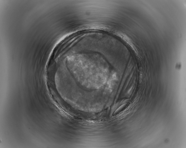 X0000097871024200804110918