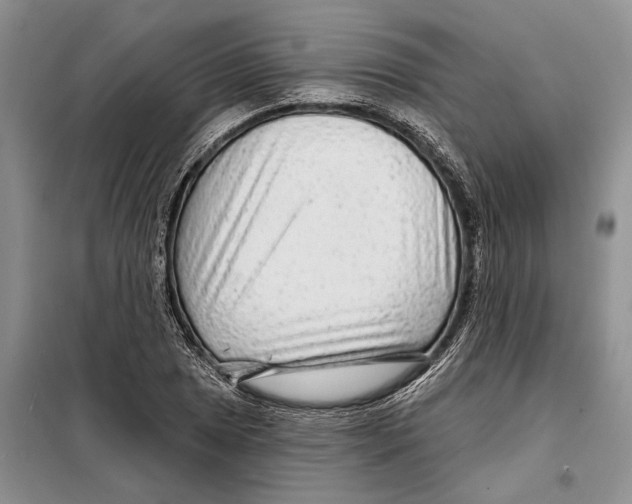 X0000097871025200804110919