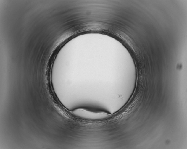X0000097871026200804110919