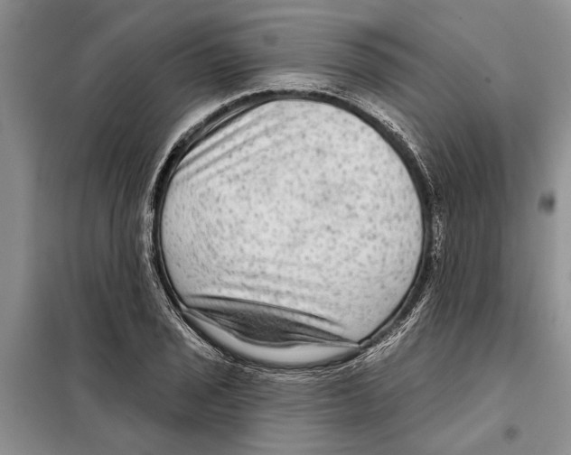 X0000097871029200804110919