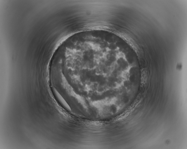 X0000097871031200804110919