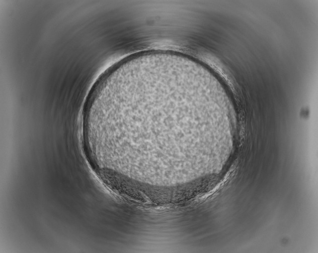 X0000097871032200804110919