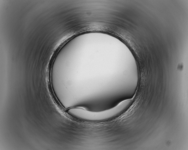 X0000097871034200804110919