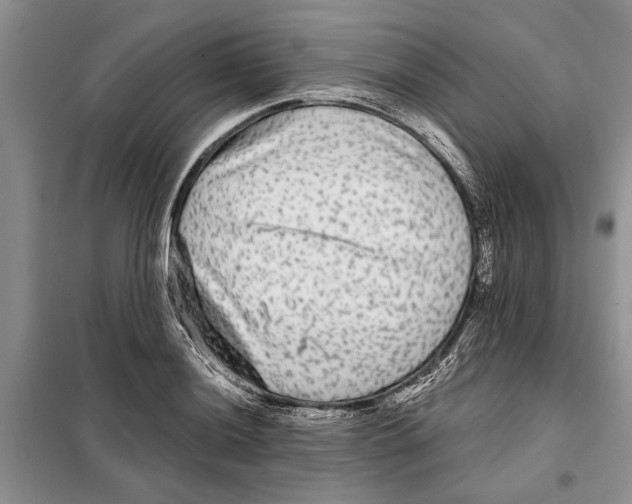 X0000097871036200804110919