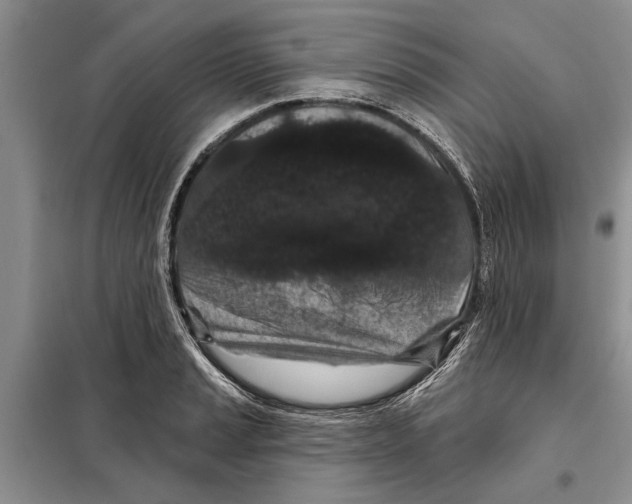 X0000097871037200804110919