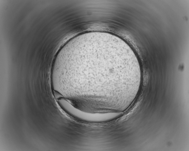 X0000097871041200804110919