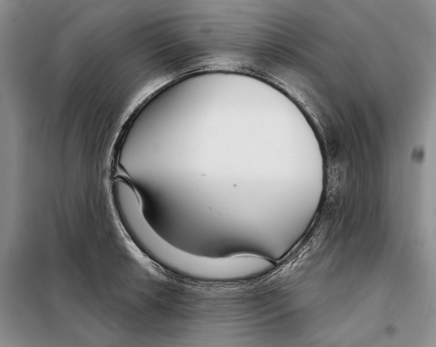 X0000097871042200804110919