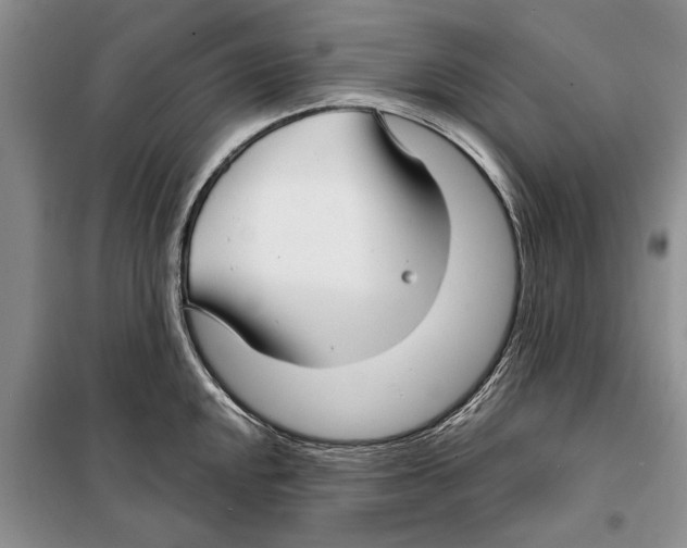 X0000097871048200804110919
